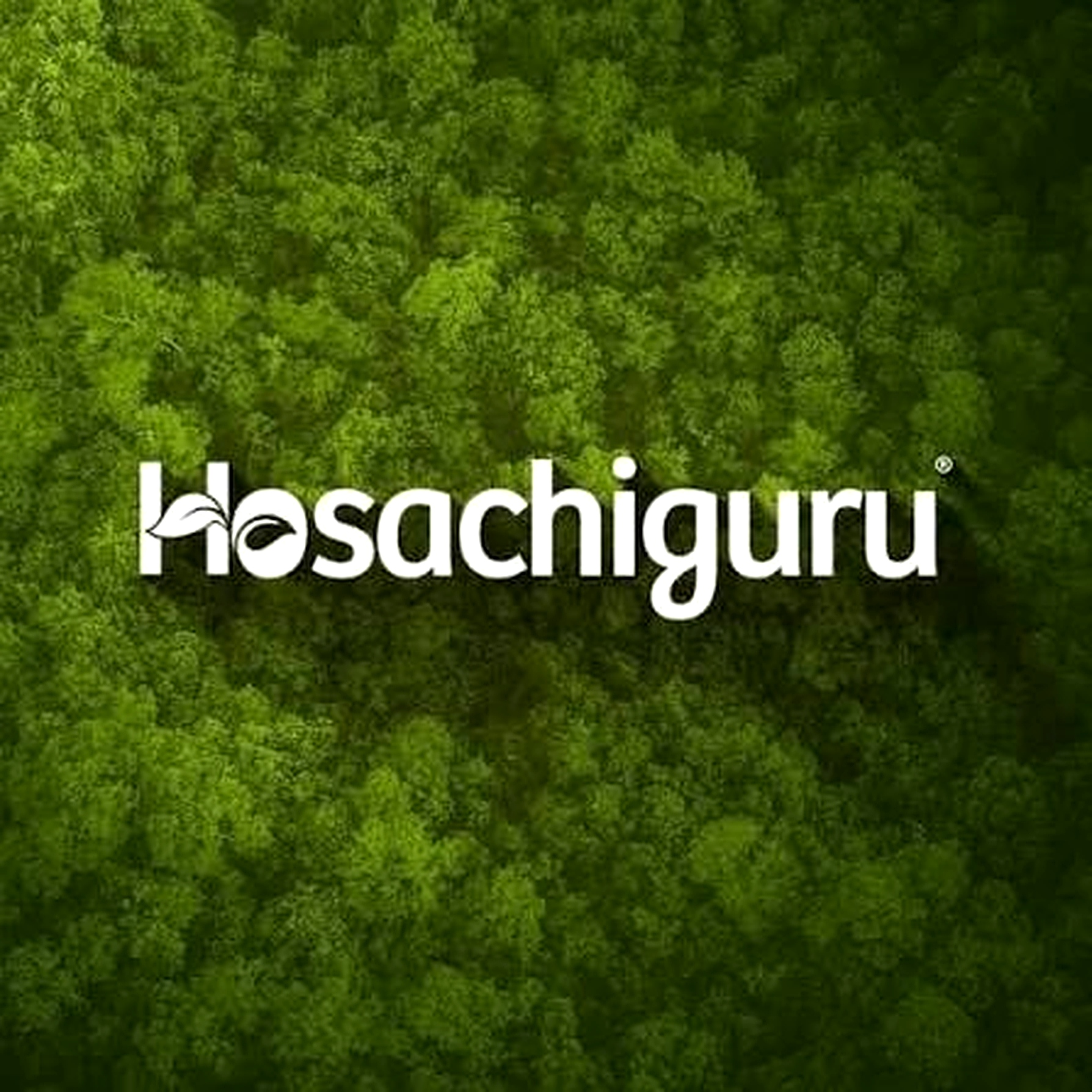 Hosachiguru Eco-Farmland